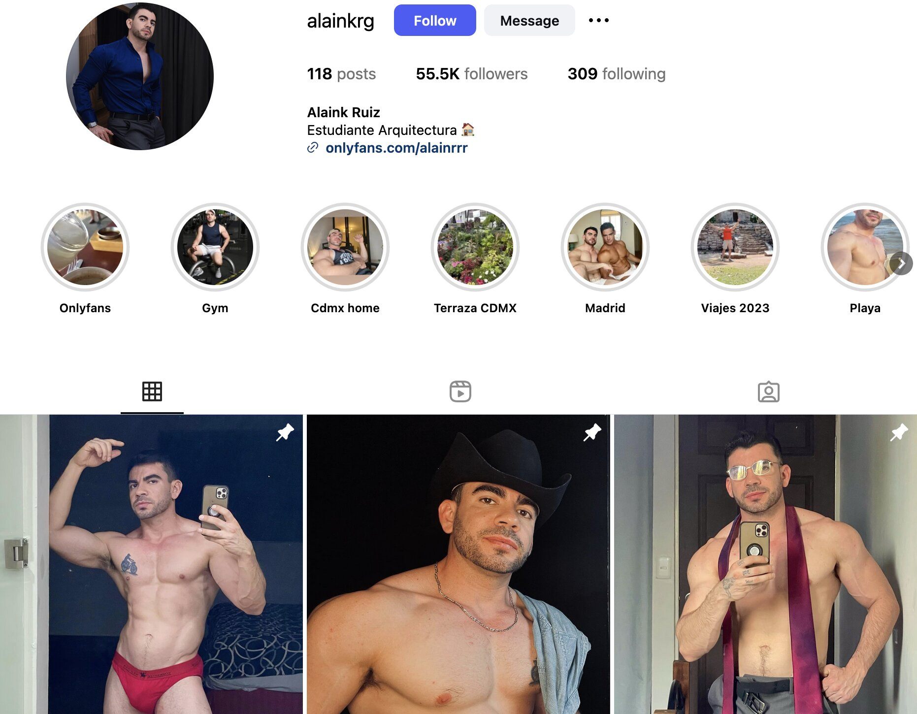 Alaink Ruiz Instagram Profile