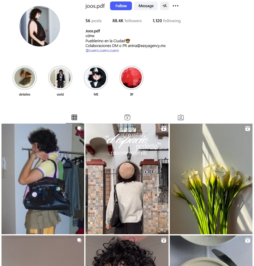 Joos.pdf Instagram Profile