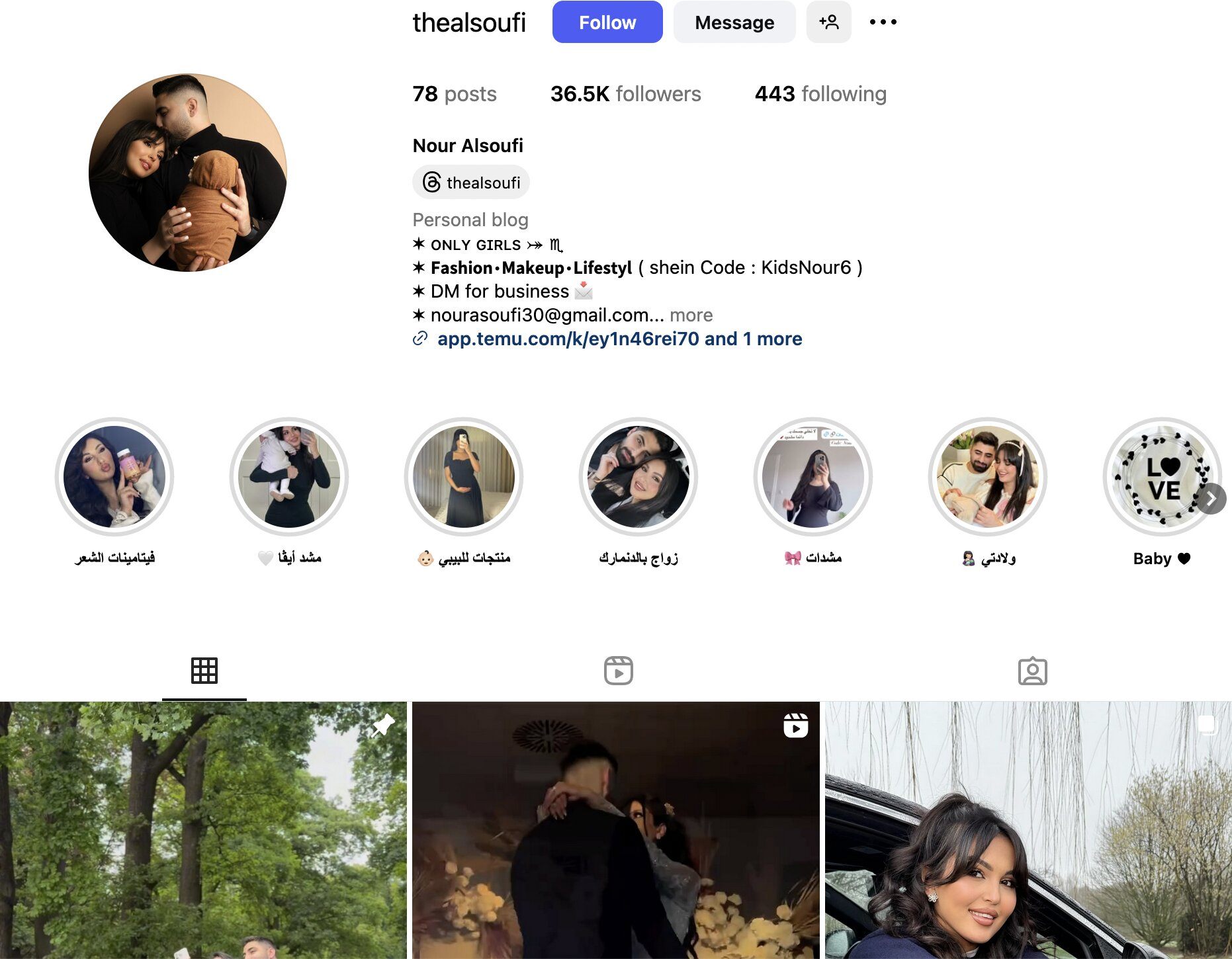 Nour Alsoufi Instagram Profile