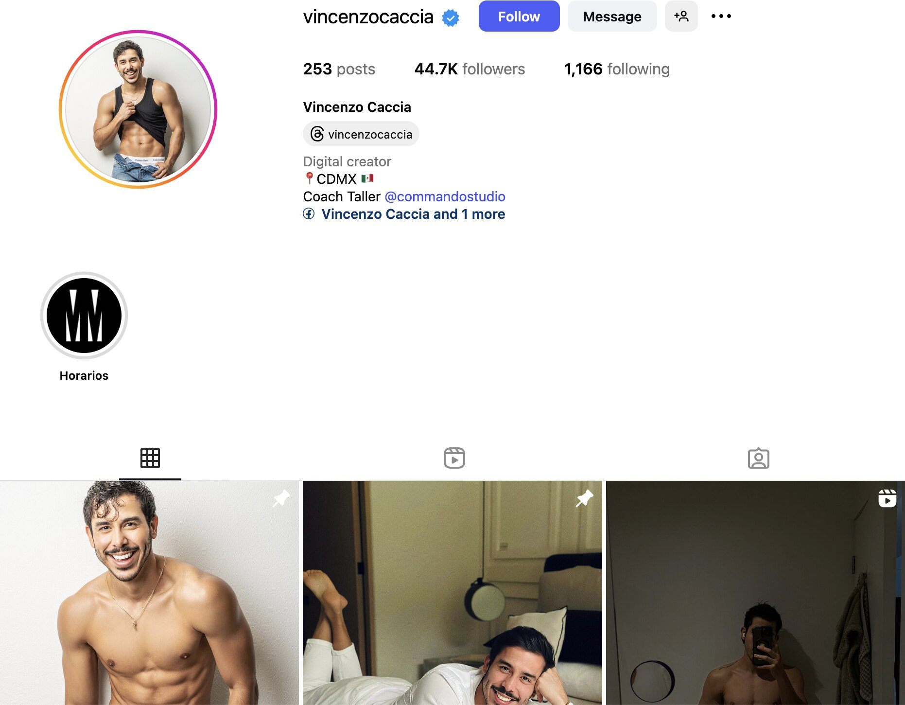 Vincenzo Caccia Instagram Profile